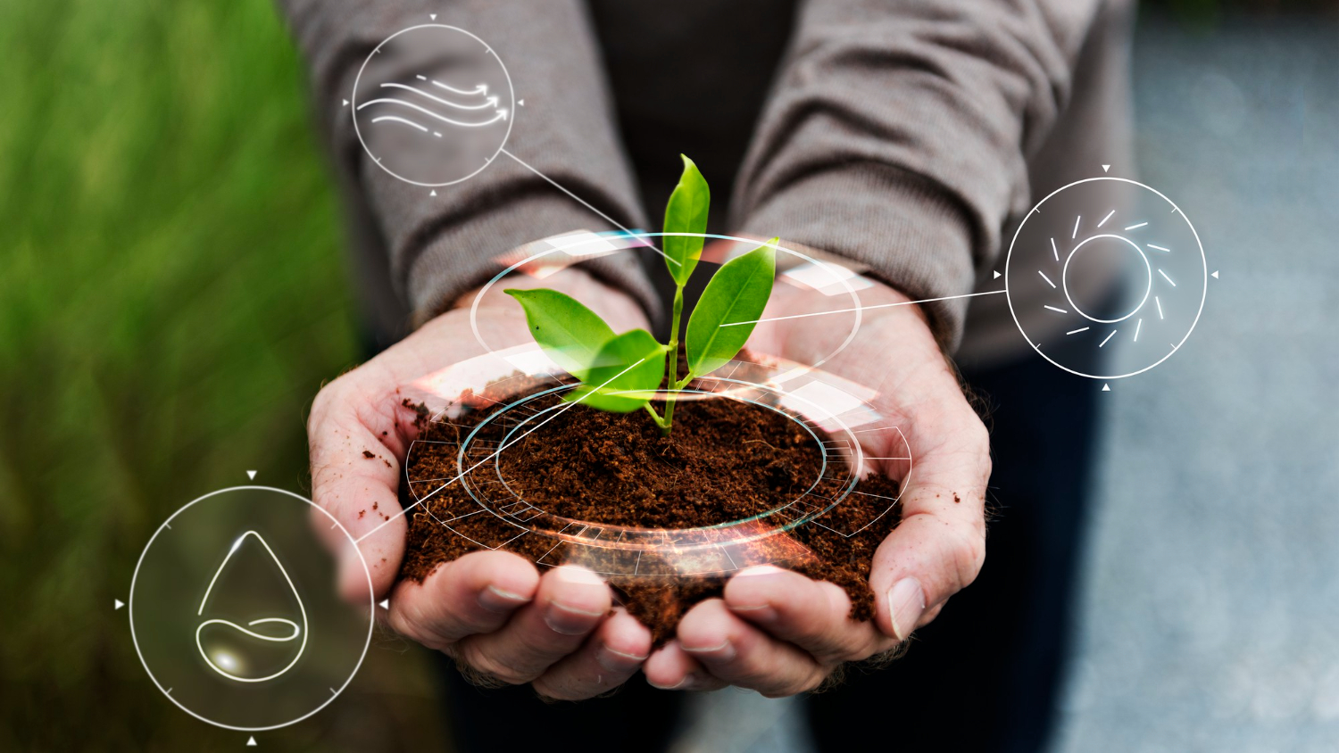 Sustainable Agriculture